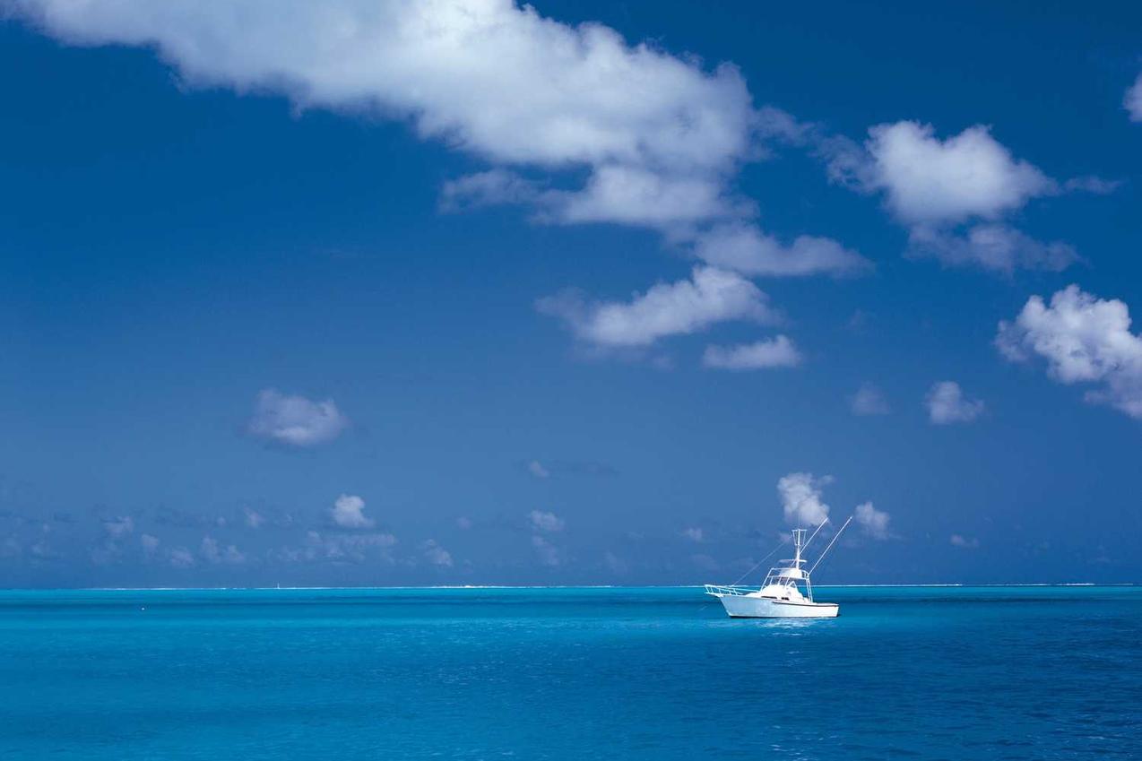 Sit quas magnam vel sed