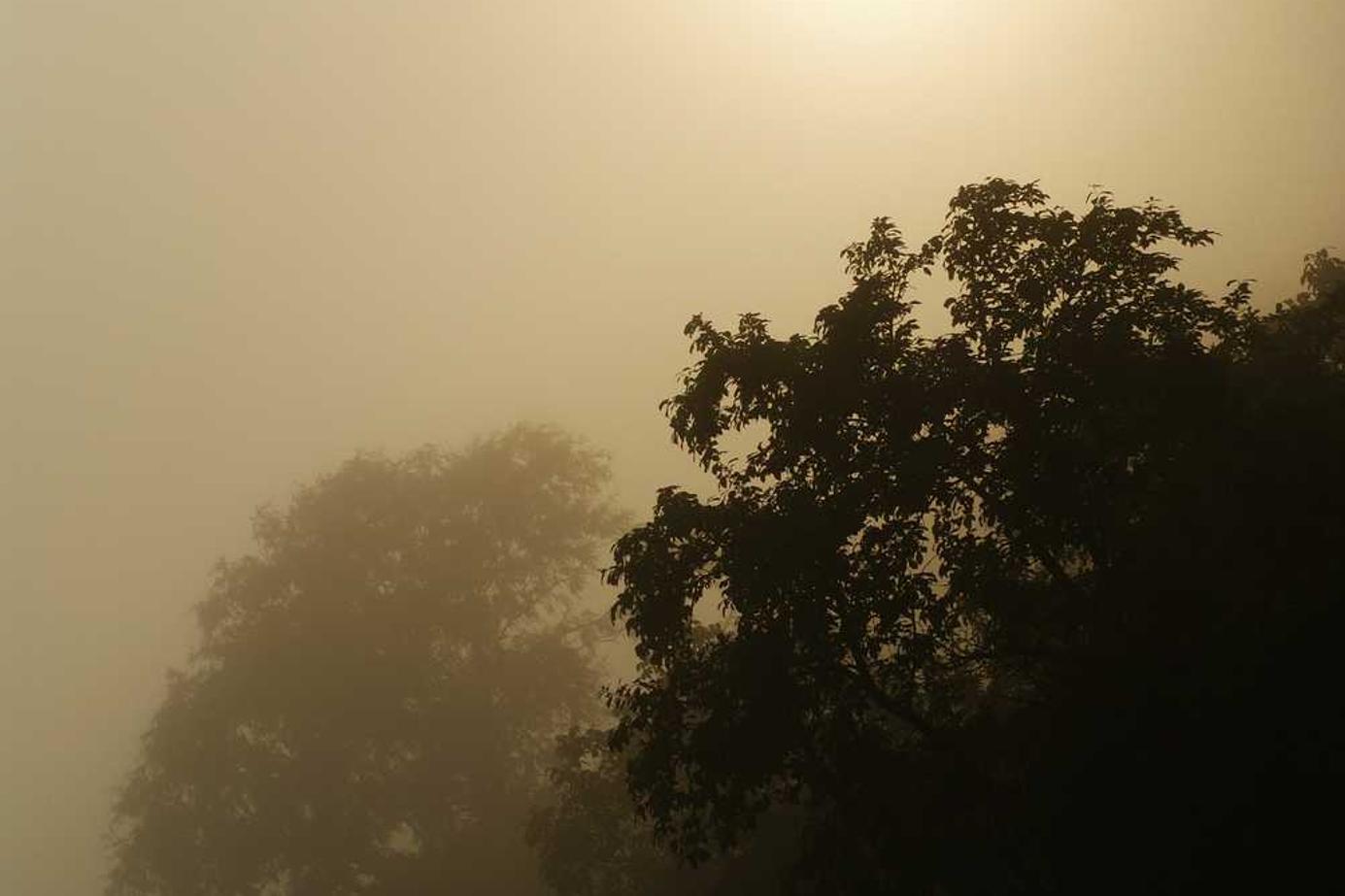 Perspiciatis quibusdam omnis voluptatem et hic ea et quia