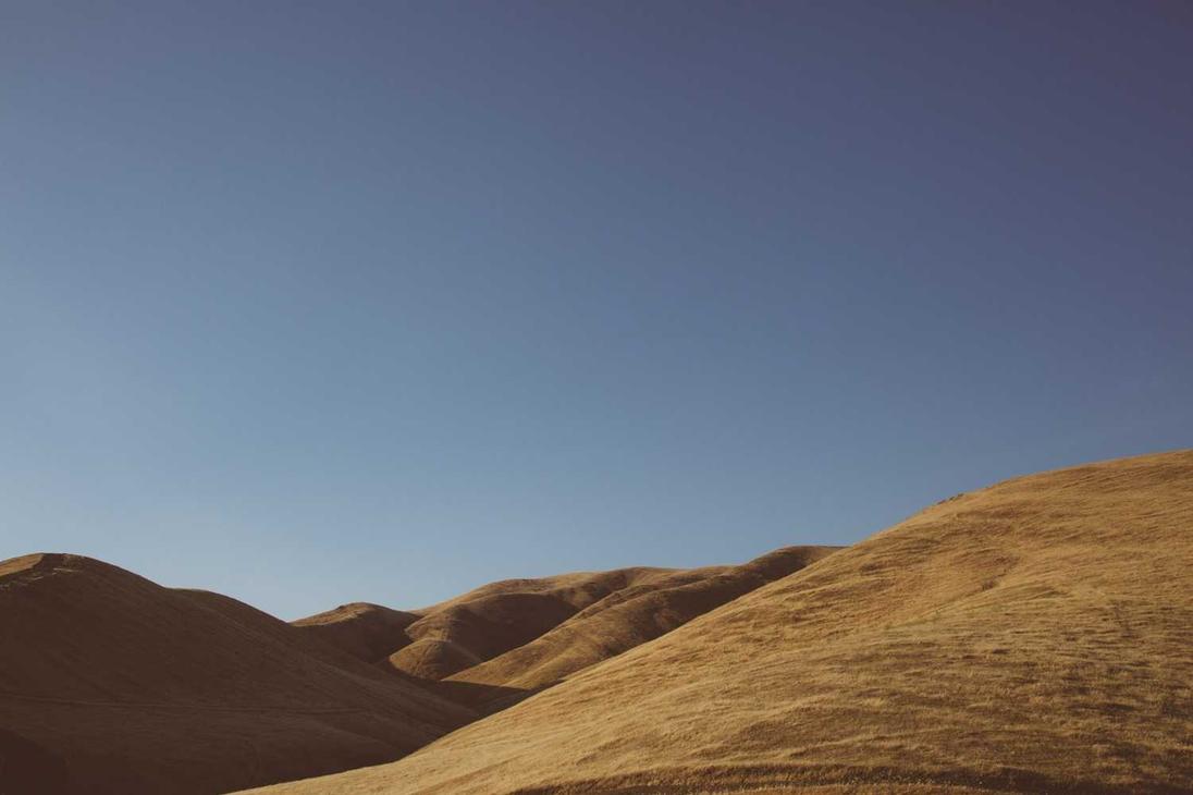 Consectetur sit eligendi vitae