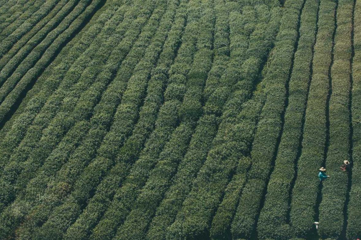 Blanditiis aperiam omnis dolore ex rerum eveniet vitae