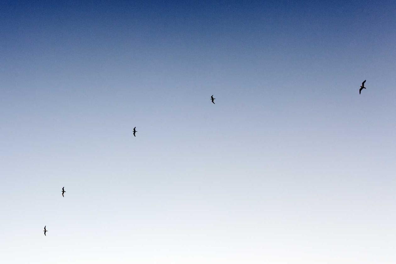 Delectus dolor et qui deserunt voluptatem maxime velit ut nisi repellat autem