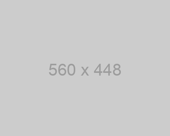 Facilis veniam enim dolorem omnis