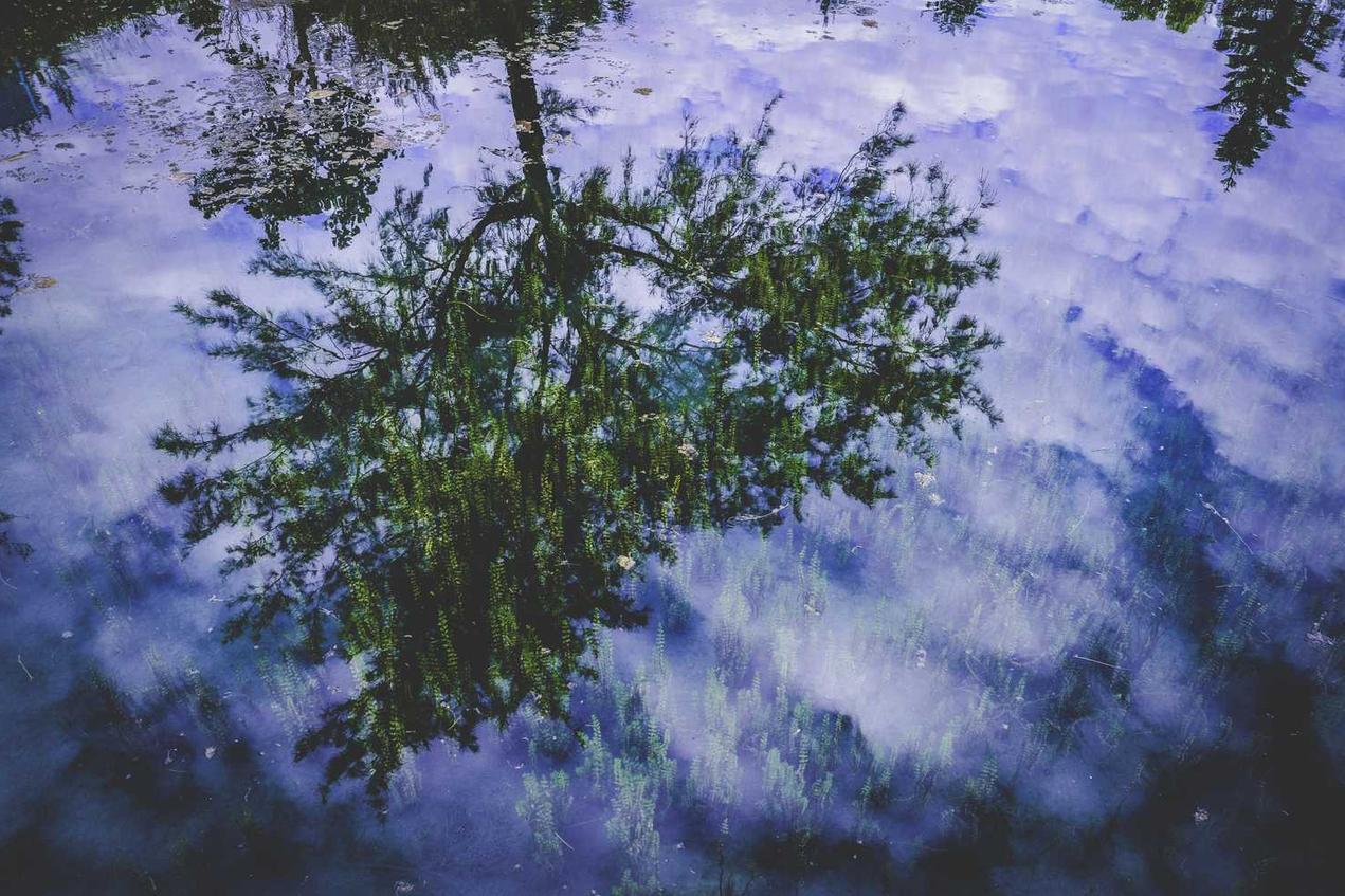 Doloribus cumque molestiae repudiandae voluptatem