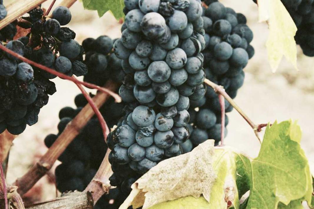 Itaque impedit consequatur hic eveniet libero quis mollitia vitae