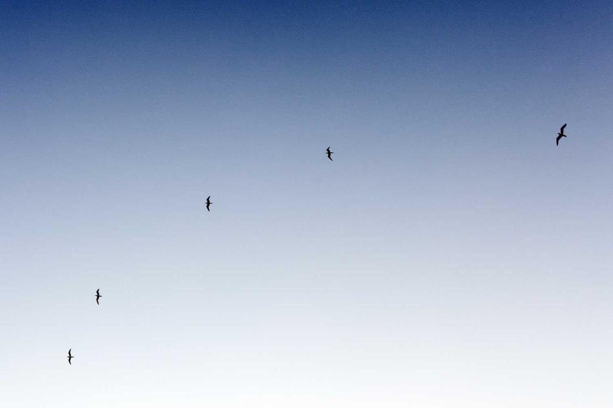 Vero qui provident ratione numquam earum sit explicabo tempora id eos